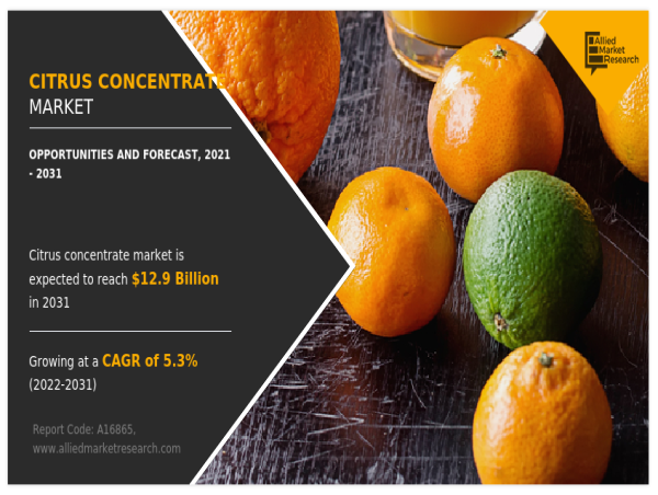 Citrus Concentrate Market to Reach $12.9 Billion by 2031 Growing at CAGR of 5.3% from 2022 to 2031| AMR