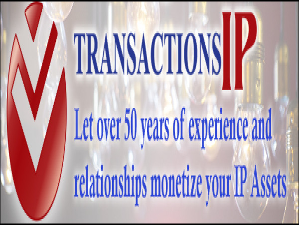  TransactionsIP Founders - Top Intellectual Property Strategists in IAM Guide - The World's Leading IP Strategists 2023 