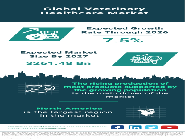  Navigating the Landscape: Insights into the Global Veterinary Healthcare Market 