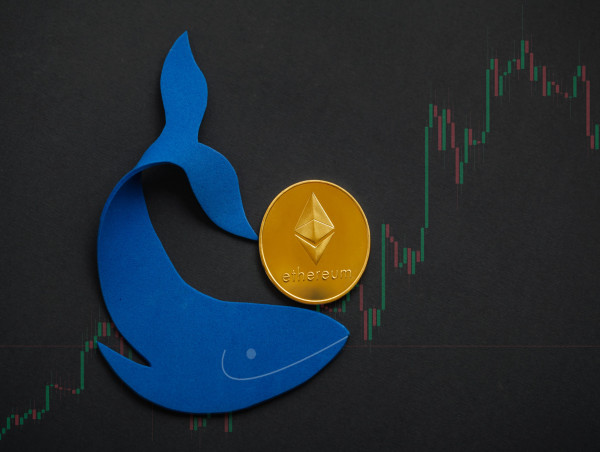  Ethereum whale activity increases as token surpasses $2K in fresh boost to Shiba Memu 