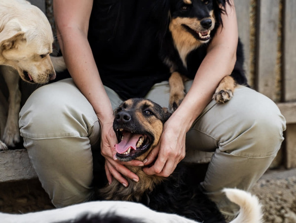  Vincent Nikolic annonce son engagement philanthropique en faveur du bien-être animal 