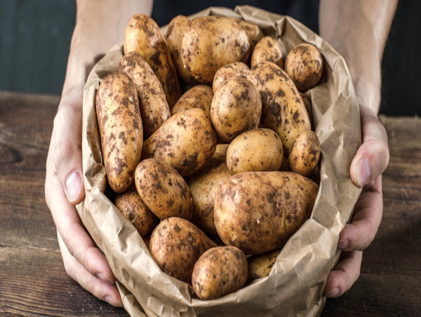  A snapshot of the global potato market amid ‘nightmare’ polar vortex 