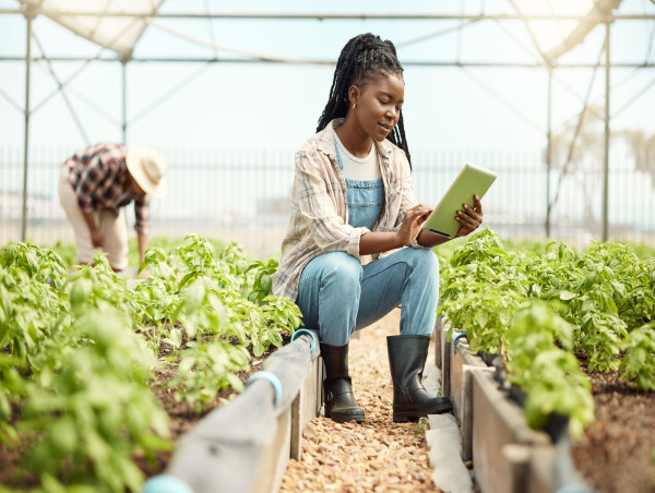 Africa must leverage research, innovation, evidence to inform sustainable food systems transformation, new report finds