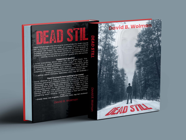  David B. Wolman's Latest Release, Death Be Still: A Suspense Novel Weaving a Tale of Theft, Fraud, Lust, and Murder 