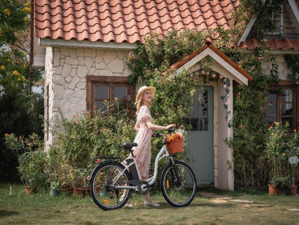 DYU C6: A Dutch example of innovation, reshaping the new style of urban cycling