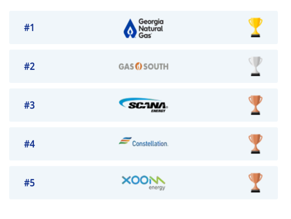 GeorgiaGasSavings.com Announces 2023 Best Natural Gas Providers in Georgia
