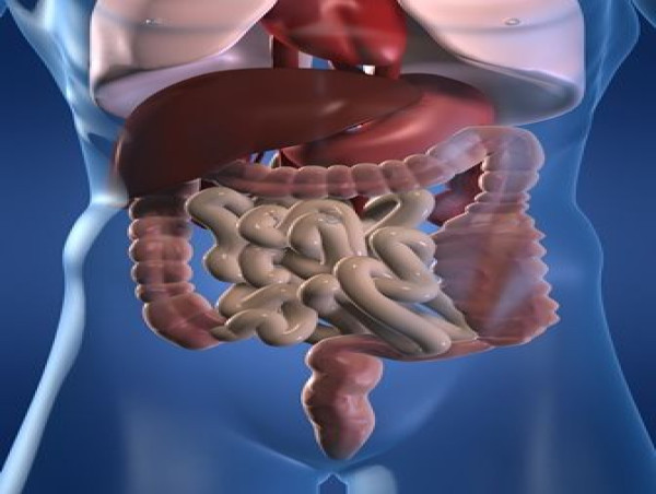  Opioid-Induced Constipation Market Share, Epidemiology, Analysis & Trends 2023-2033 