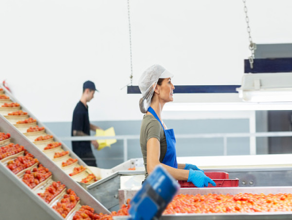  Food Processing Machinery Market to Reach $93,737.1 Million by 2031 | Region wise, Germany accounted for 26.45% Share 