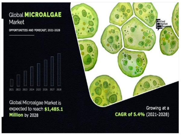  Microalgae Market is Expected to Exceed Value of $1,485.1 Million by the End of 2028 | ALGENOL BIOTECH, ASTAREAL AB 