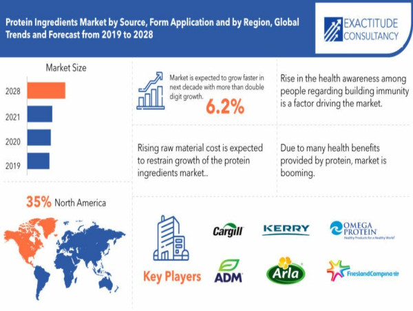 Protein Ingredient Market Size is projected to reach USD 90.9 Billion by 2030, growing at a CAGR of 6.2%