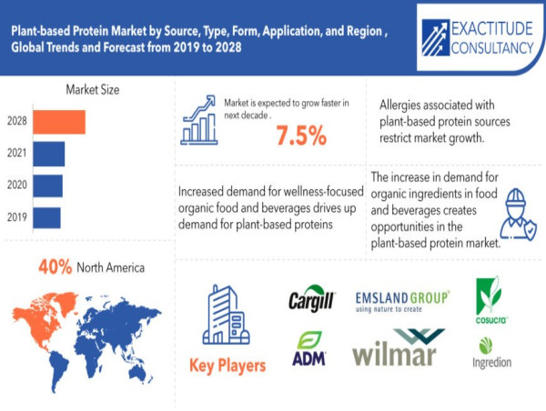 Plant-based Protein Market to surpass $18.7 Billion by 2030, growing at a CAGR of 7.5%: Report by Exactitude Consultancy