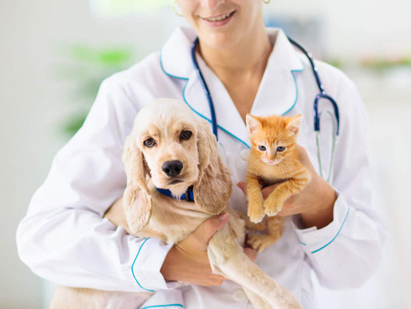  Pet Insurance Market is Forecast to Reach a Value of US$ 26.44 Bn at a CAGR of 15.6% by 2030 | Coherent Market Insights 