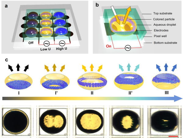 A reflective display based on electro-microfluidic assembly of particles within suppressed water-in-oil droplet array