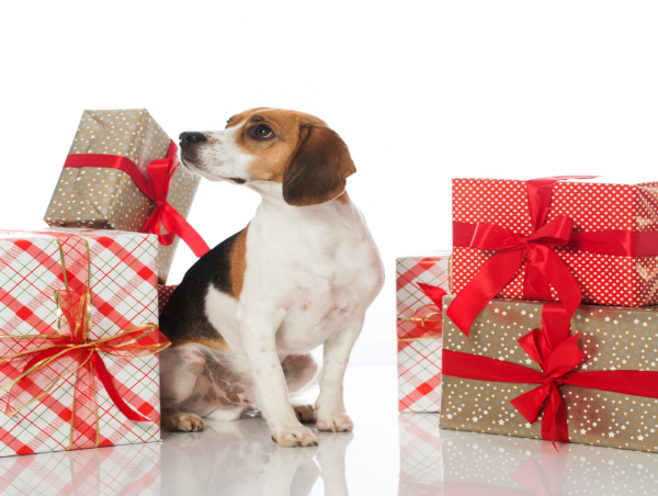  Pure And Natural Pet Launches New Paw-lidays Gift Set 