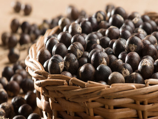  France Acai Berry Market Landscape: Key Players, Competitive Strategies, and Future Outlook by 2023-2030 | Nossa 