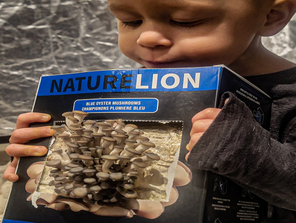  CP24 CHUM Christmas Wish - Nature Lion Donates 150 Mushroom Growing Kits to Kids 