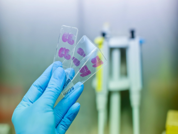 Revolutionizing Diagnostics: The Future Unveiled in the Telepathology Market
