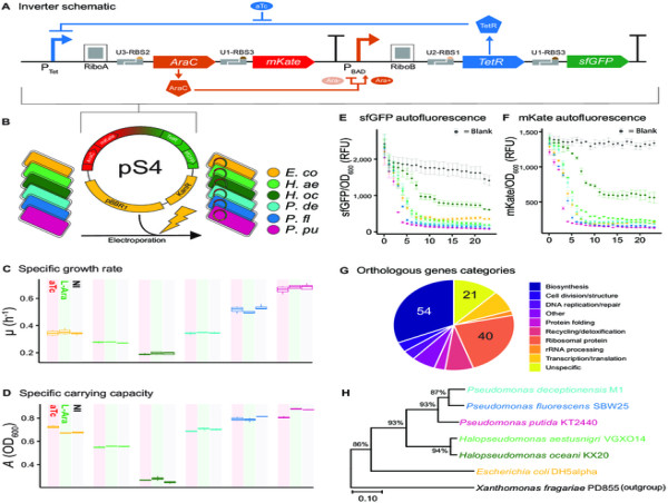 Decoding The ‘Chassis Effect”: Host Physiology Emerges as Key Predictor