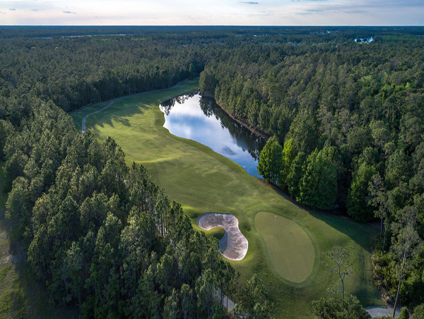 LPGA International's Hills Course Thriving After Installation of New Greens