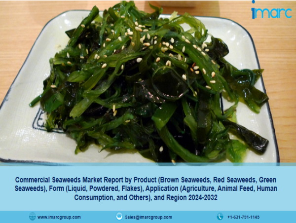  Commercial Seaweeds Market is Booming and Predicted to Hit US$ 42.3 Billion by 2032 