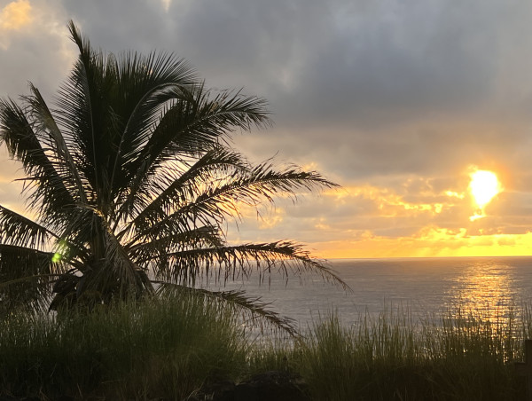  When to Add, Remove or Change an Owner of a Hawaiian Timeshare by Deed and Record 