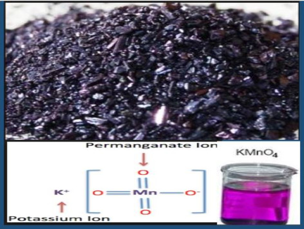  Potassium Permanganate Market Growth | Statistics, Trends, Competitor Share, Global Expansion and Forecast to 2032 