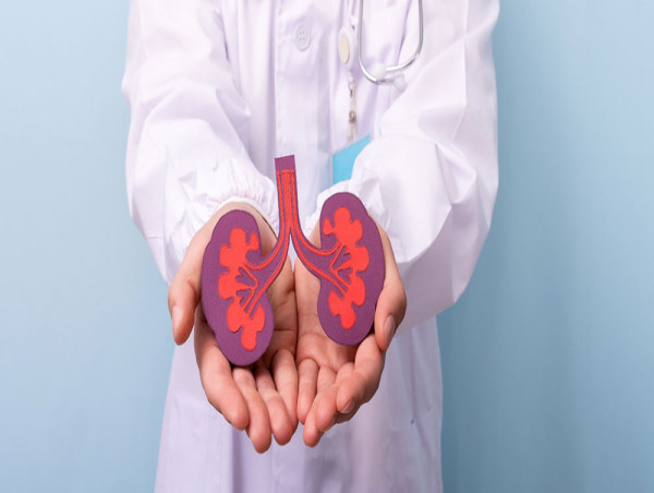  Kidney Transplant Market Report 2023: Includes Latest Key Development and Market Dynamics | Sanofi, Pfizer, Inc. 