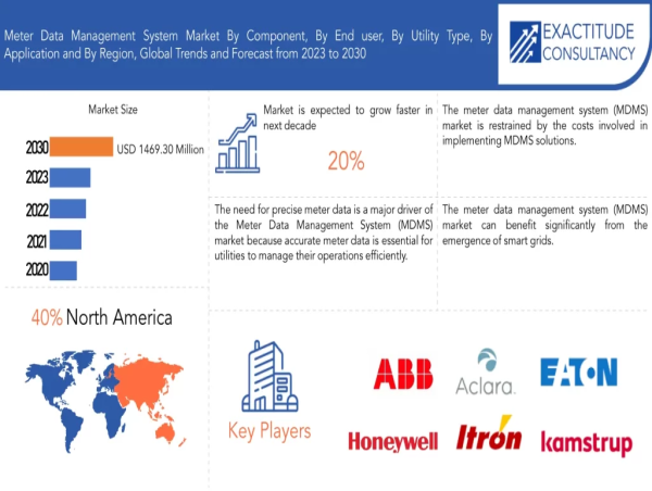  Meter Data Management System Market is expected to grow at 20 % CAGR from 2023 to 2030 