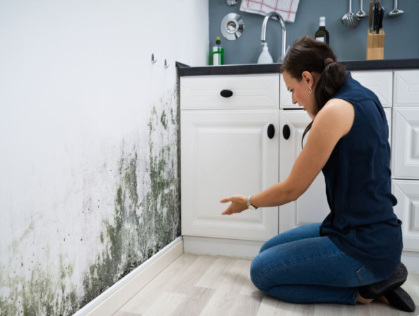  New Laws in Victoria Make it Illegal to Rent Mouldy Properties 