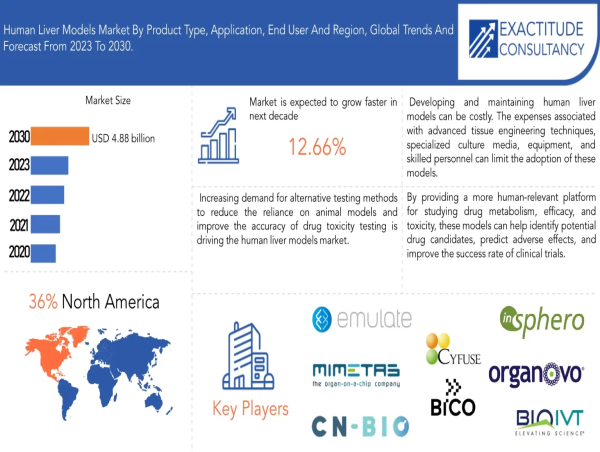 Human Liver Models Market is Projected to reach above USD 4.88 billion by 2030, at more than 12.66% CAGR from 2023- 2030