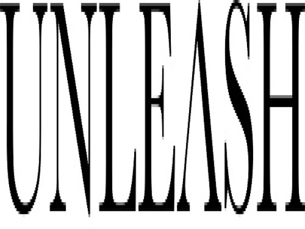  Japanese New VC, UNLEASH Capital Partners, Announces Launch of Its Inaugural Fund of USD 30mn to Address Financial Inclusion Challenges in India 