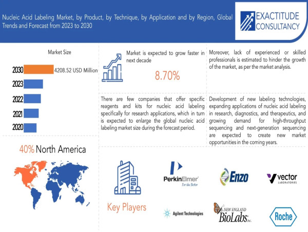  Nucleic Acid Labeling Market is Anticipated to grow at 8.70 % CAGR from 2023 to 2030 by Exactitude Consultancy 
