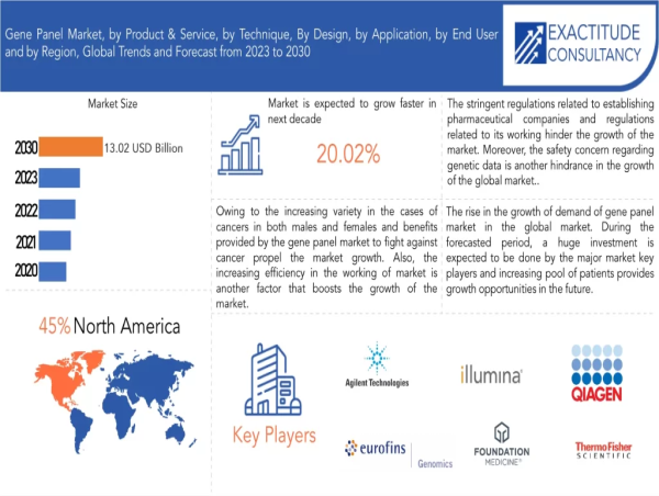  Gene Panel Market is Anticipated to reach above USD 13.2 billion by 2030| 20.02 % CAGR |Exactitude Consultancy 