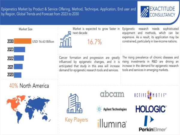  Epigenetics Market is Anticipated to reach above USD 16.63 Billion by 2030 by Exactitude Consultancy 