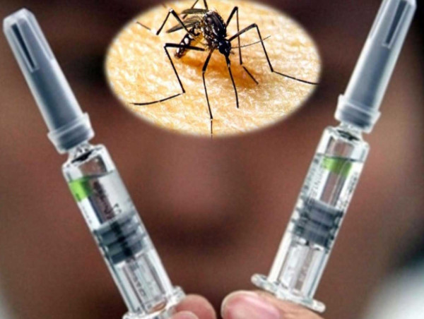 Guarding Global Health: Exploring Trends and Advances in the Zika Vaccines Market | Biken Inc, NewLink Genetics Corp
