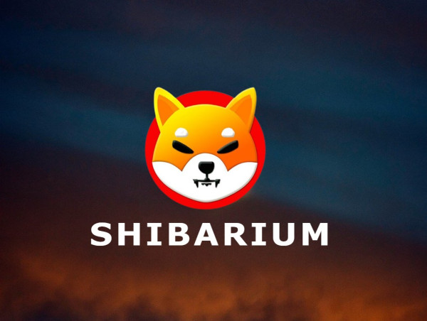  Shibarium Flourishes as CryptiQ WEB3 & Others See Monumental Growth, While the Shiba Inu team perform huge SHIB Burns 