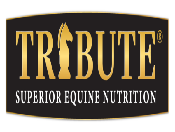 The Tribute CollectionTM Accessory Line Launched for Horse Lovers
