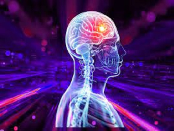  Epilepsy Market Size, Analysis, Industry Statistics and Latest Insights Till 2033 
