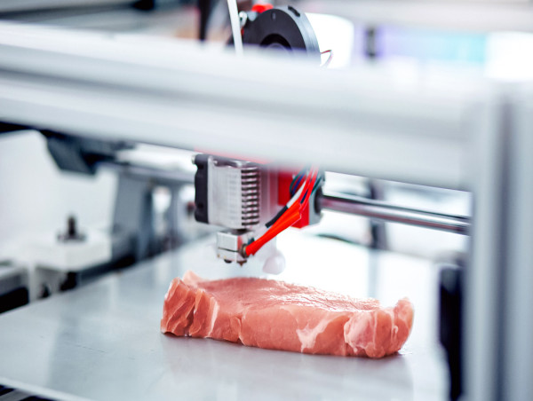  3D Printed Meat Market 2023 Growth Overview, Future Trends, Historical Analysis of the Market till 2030 | Redefine Meat 