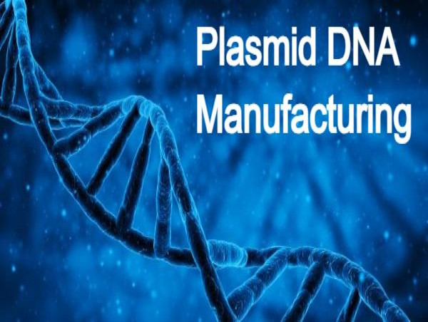  Plasmid DNA Manufacturing Market Is Booming Worldwide 2023-2030 | VGXI, Inc, GenScript, GENEWIZ, Akron Biotech, Biomay 