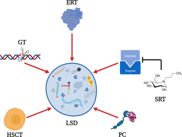  Lysosomal Storage Diseases Therapeutics Market Overall Study Report 2023-2030 |Shire plc, Pfizer, Sanofi, Actelion Ltd 