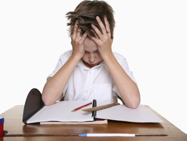 The Pathway to Academic Success: Dr. Jane Petrozzino's Expertise in Dyslexia and Learning Disabilities Reshapes Futures