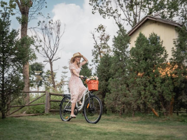  DYU C6 Electric Bicycle: Pioneering Urban Mobility with a Seamless Fusion of Technology and Comfort 