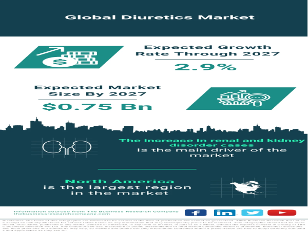 Global Diuretics Market Forecast 2024-2033 – Market Size, Drivers, Trends, And Competitors