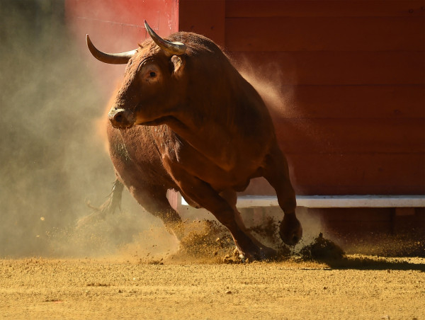 Arbitrum (ARB) price outlook: popular analysts forecast bullish continuation after 58% surge