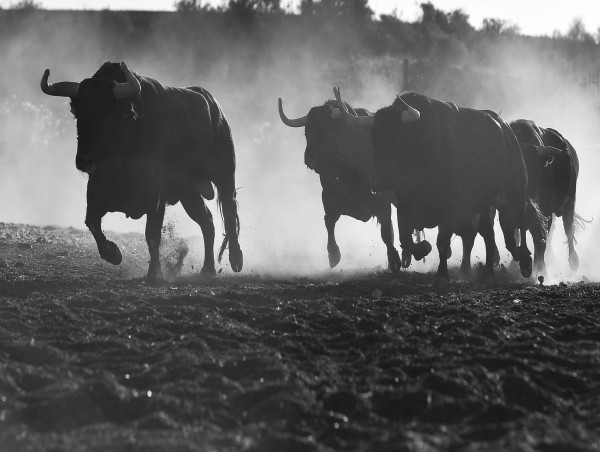  Casper Network price jumps as bulls target key $1 level 