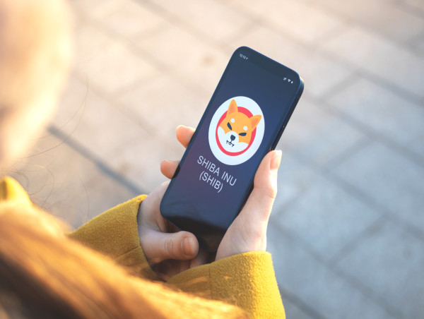  Shiba Inu rises as burn rate skyrockets, Meme Moguls keeping up with the pace 