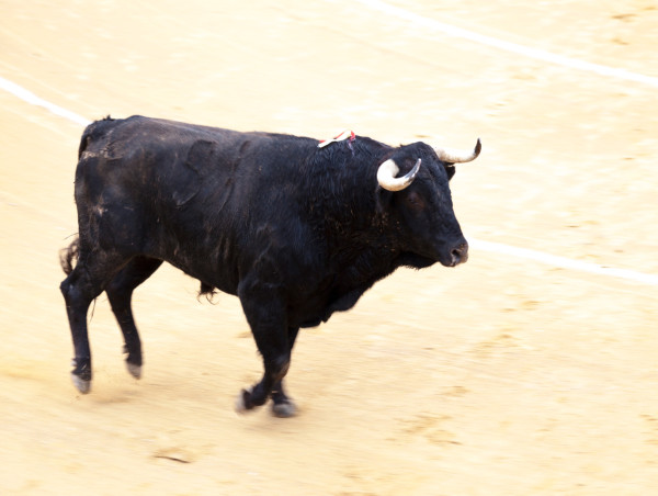  Memeinator (MMTR) outlook amid imminent Bitcoin-driven bull run 