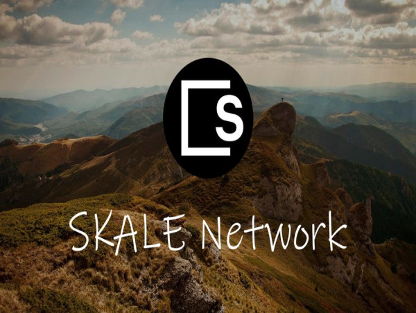 Skale Network (SKL) price suddenly wakes up as transactions rise