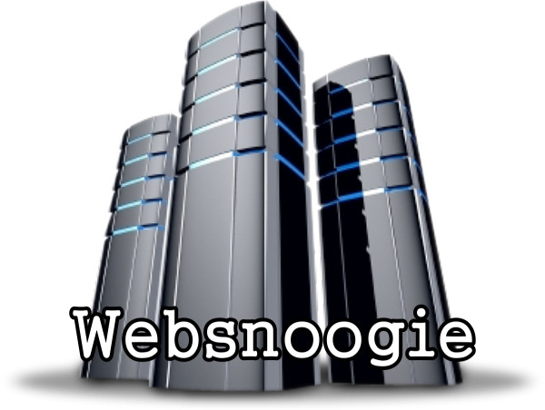 Websnoogie: The Right Way to Switch Web Hosting Companies 